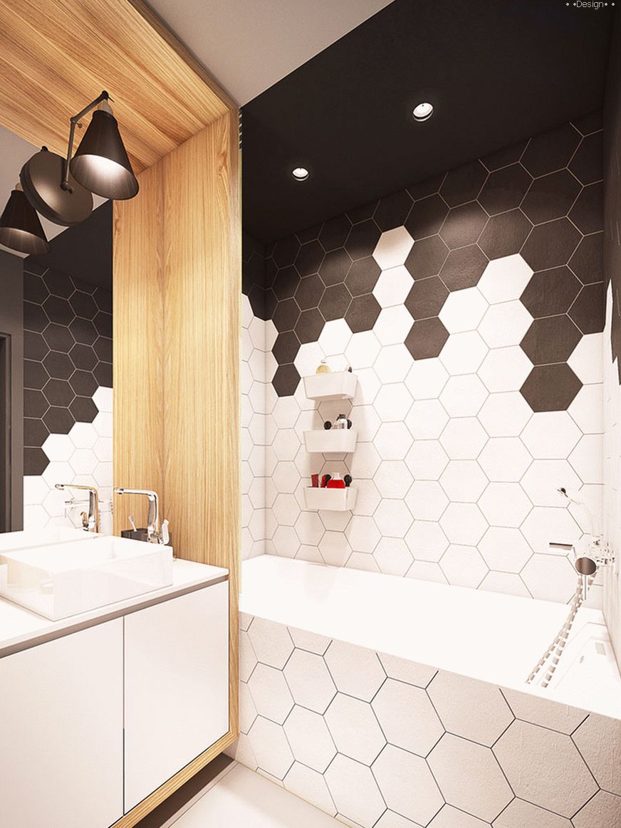 diseño de un baño pequeño en blanco y negro